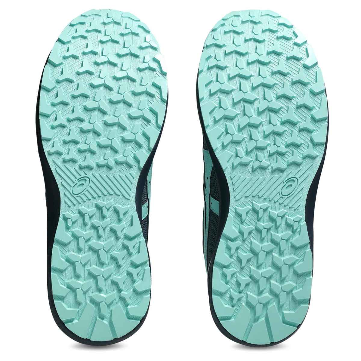 asics(アシックス) CP229BOA LC 安全靴