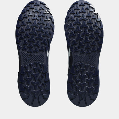 asics(アシックス) CP224 TS BOA 安全靴