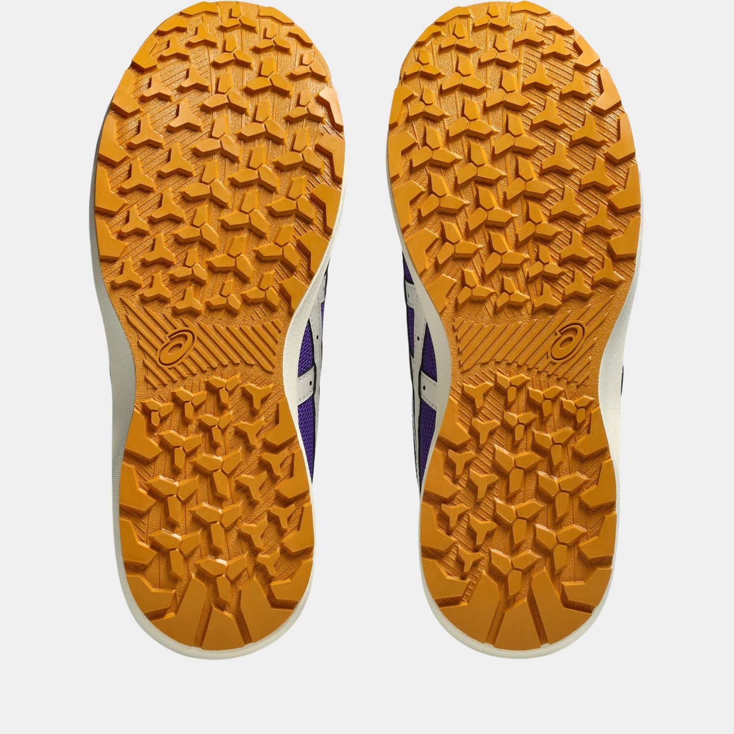 asics(アシックス) CP229BOA LC 安全靴