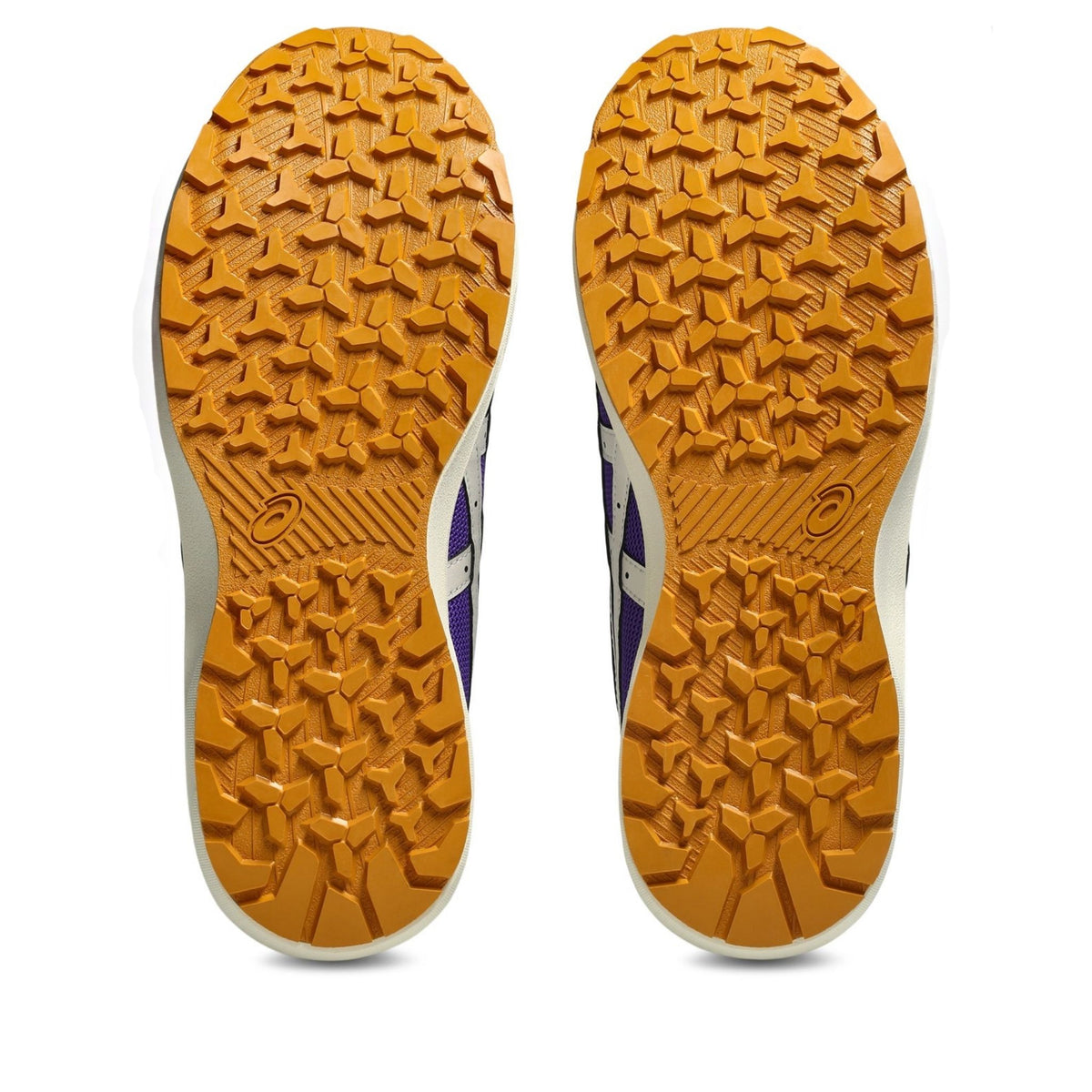 asics(アシックス) CP229BOA LC 安全靴