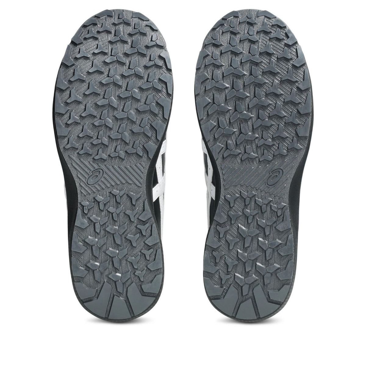 asics(アシックス) CP316 BOA 安全靴