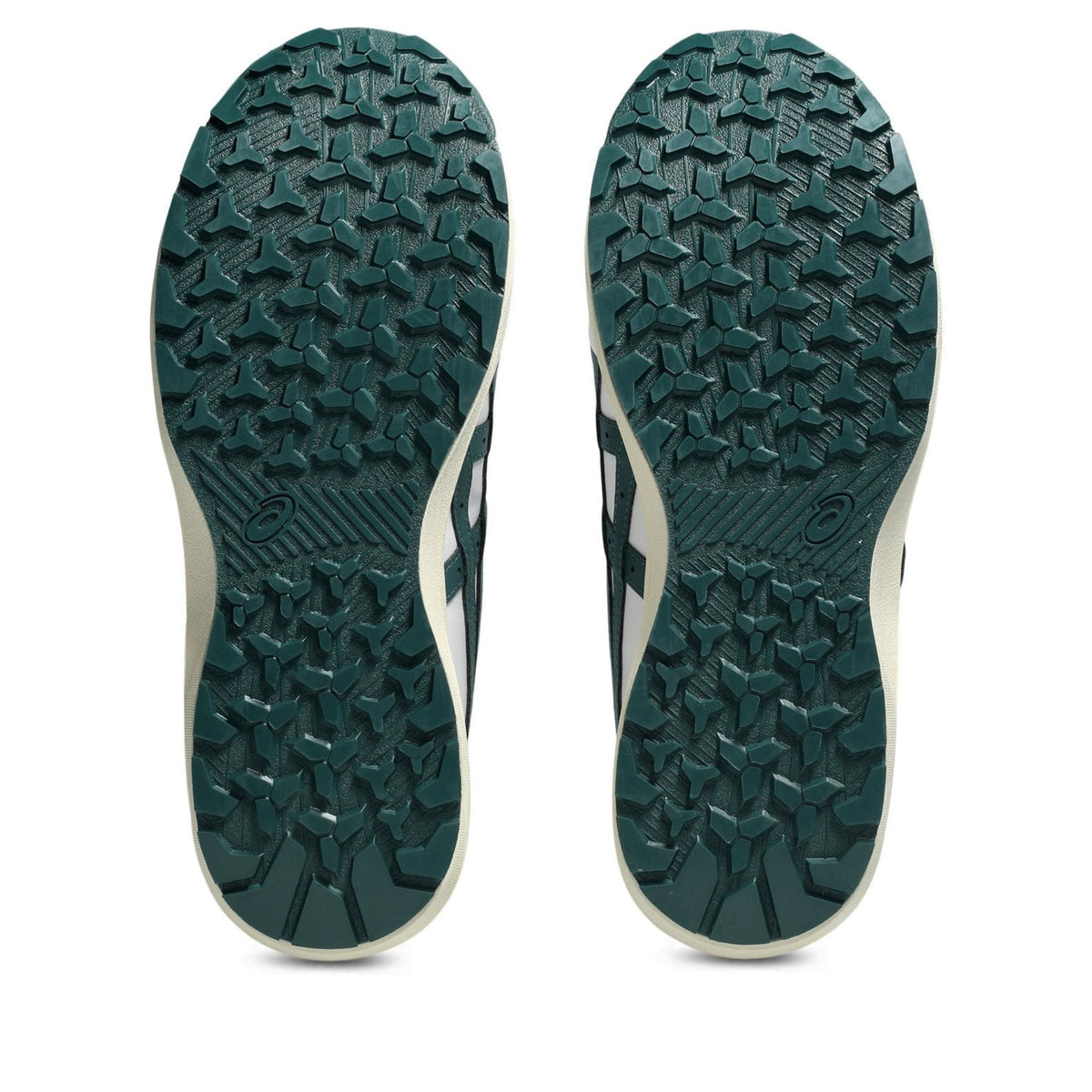 asics(アシックス) CP316 BOA 安全靴